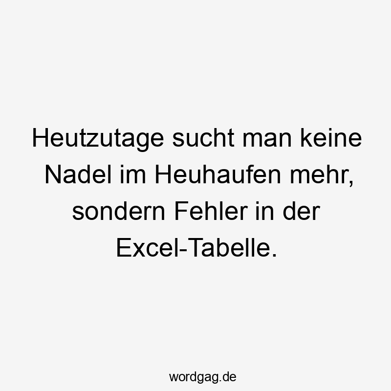 Heutzutage sucht man keine Nadel im Heuhaufen mehr, sondern Fehler in der Excel-Tabelle.