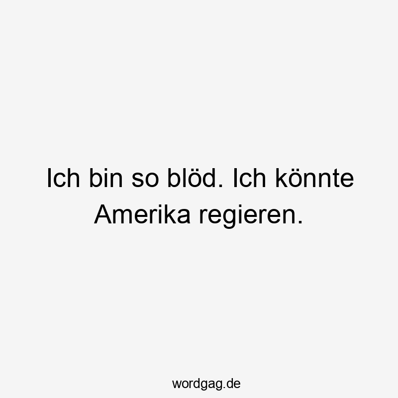 Ich bin so blöd. Ich könnte Amerika regieren.