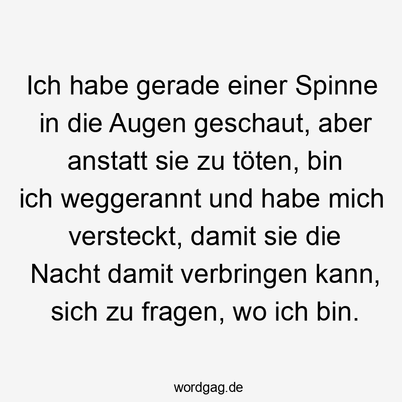 Lustige Sprüche: Fragen - Ich habe gerade einer Spinne in die Augen geschaut, aber anstatt sie zu töten, bin ich weggerannt und habe mich versteckt, damit sie die Nacht damit verbringen kann, sich zu fragen, wo ich bin.