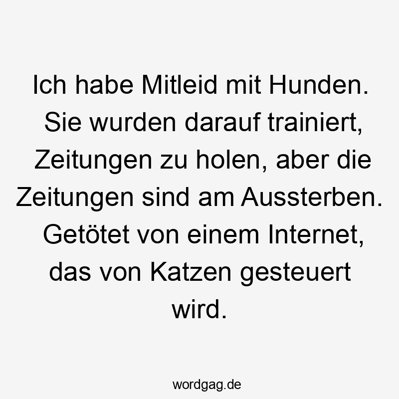 Ich habe Mitleid mit Hunden. Sie wurden darauf trainiert, Zeitungen zu holen, aber die Zeitungen sind am Aussterben. Getötet von einem Internet, das von Katzen gesteuert wird.