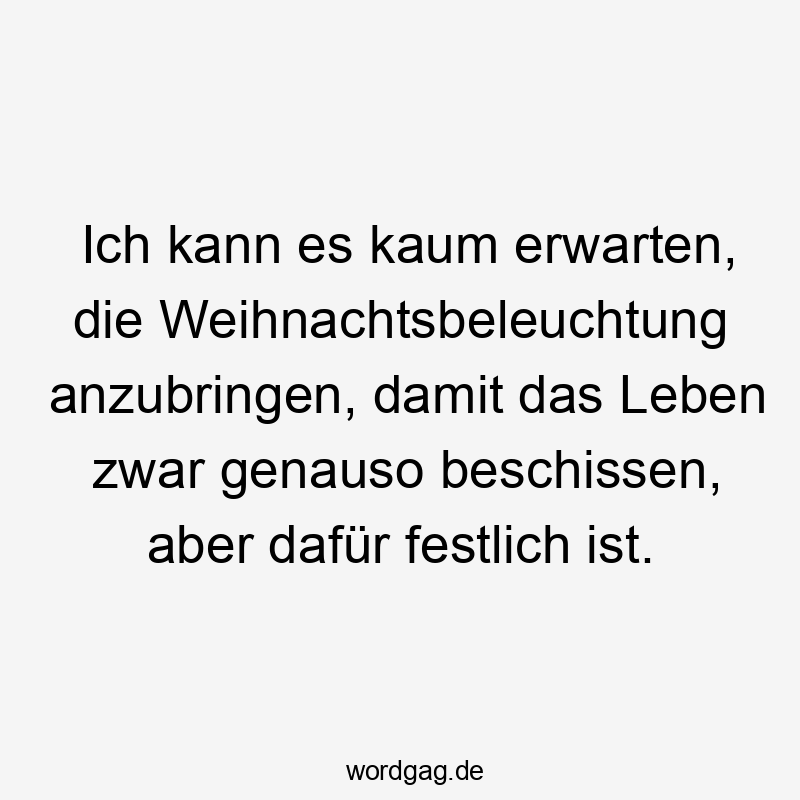 Lustige Sprüche: Ironie - Ich kann es kaum erwarten, die Weihnachtsbeleuchtung anzubringen, damit das Leben zwar genauso beschissen, aber dafür festlich ist.