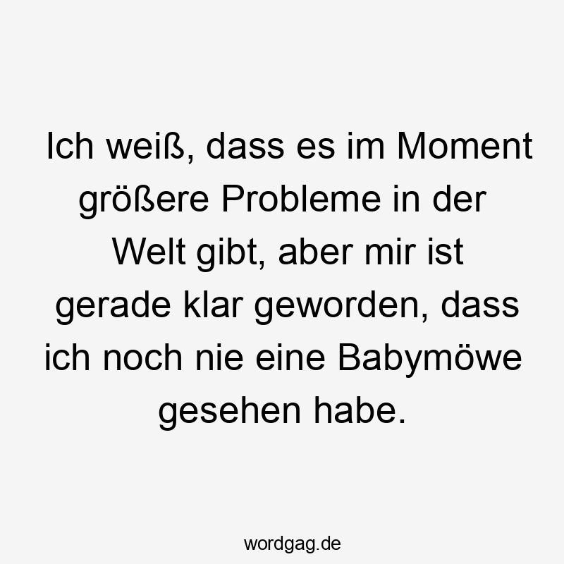Lustige Sprüche: Welt - Ich weiß, dass es im Moment größere Probleme in der Welt gibt, aber mir ist gerade klar geworden, dass ich noch nie eine Babymöwe gesehen habe.