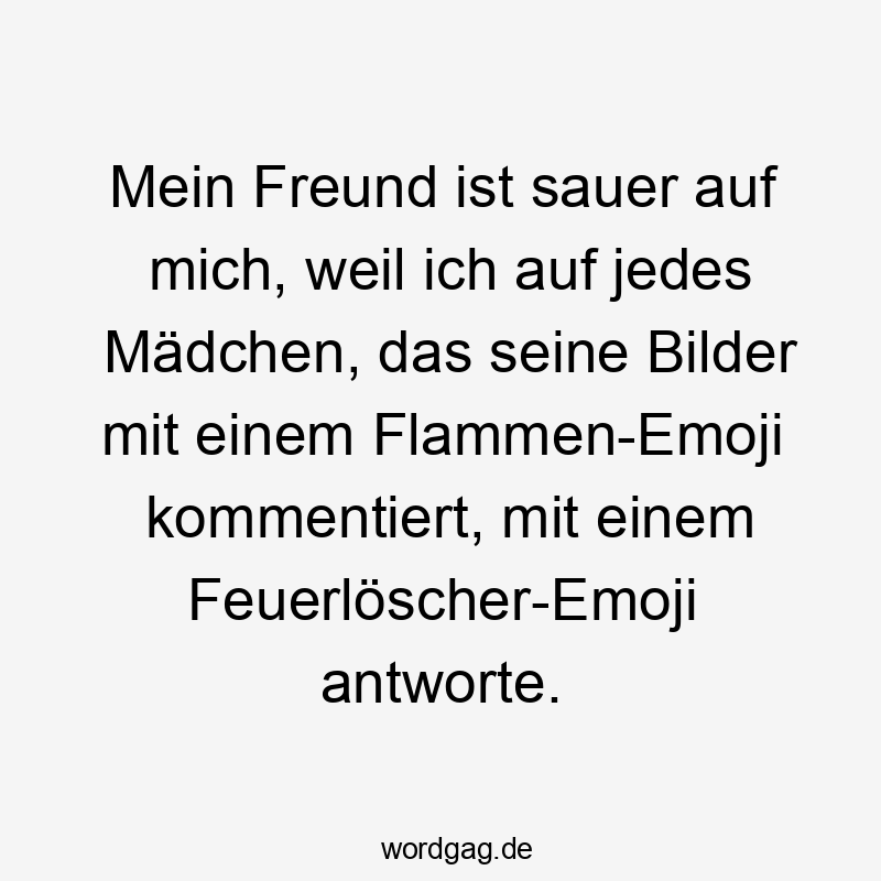 Lustige Sprüche: Kommentar - Mein Freund ist sauer auf mich, weil ich auf jedes Mädchen, das seine Bilder mit einem Flammen-Emoji kommentiert, mit einem Feuerlöscher-Emoji antworte.