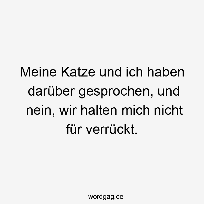 Meine Katze und ich haben darüber gesprochen, und nein, wir halten mich nicht für verrückt.