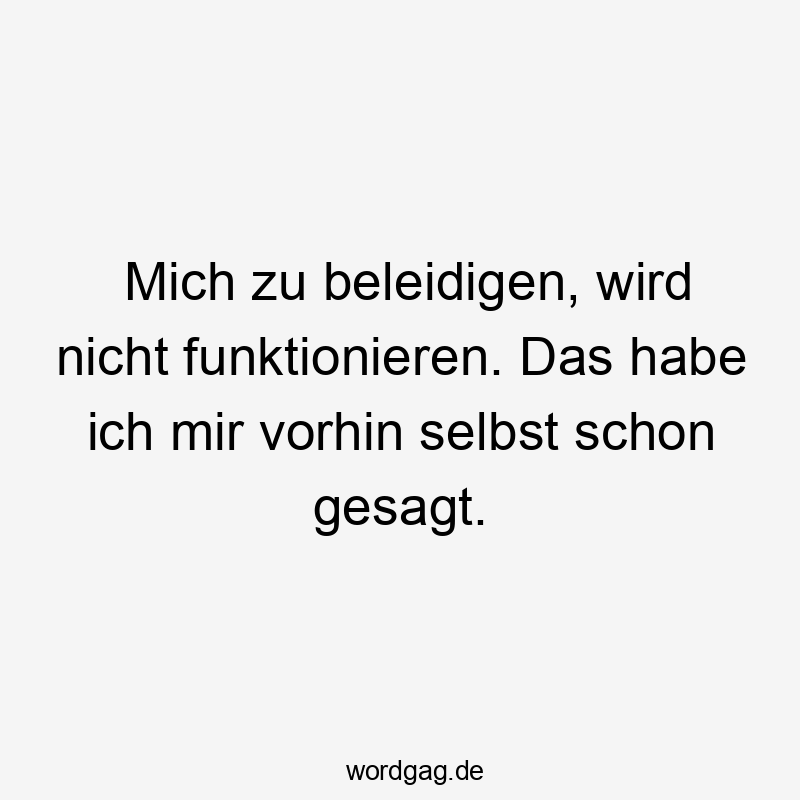 Lustige Sprüche: Ironie - Mich zu beleidigen, wird nicht funktionieren. Das habe ich mir vorhin selbst schon gesagt.