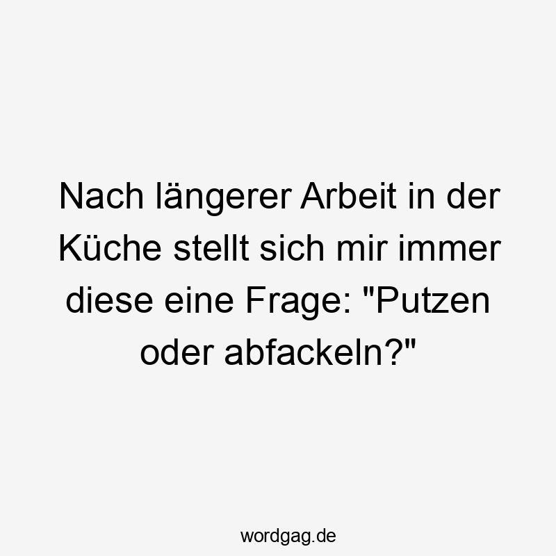 Lustige Sprüche: Alltag - Nach längerer Arbeit in der Küche stellt sich mir immer diese eine Frage: „Putzen oder abfackeln?“
