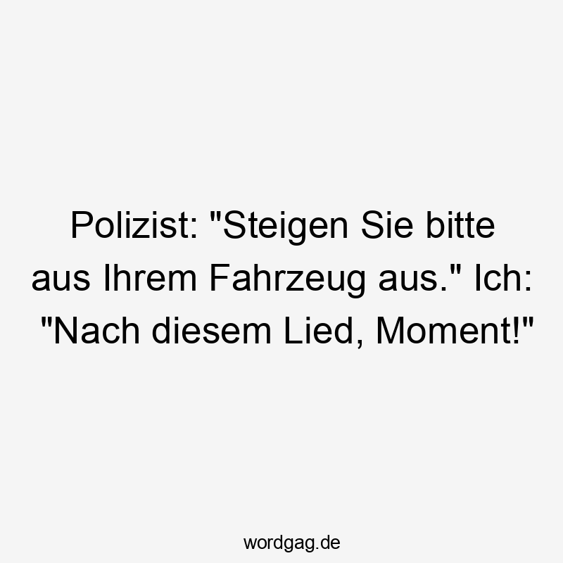 Polizist: "Steigen Sie bitte aus Ihrem Fahrzeug aus." Ich: "Nach diesem Lied, Moment!"