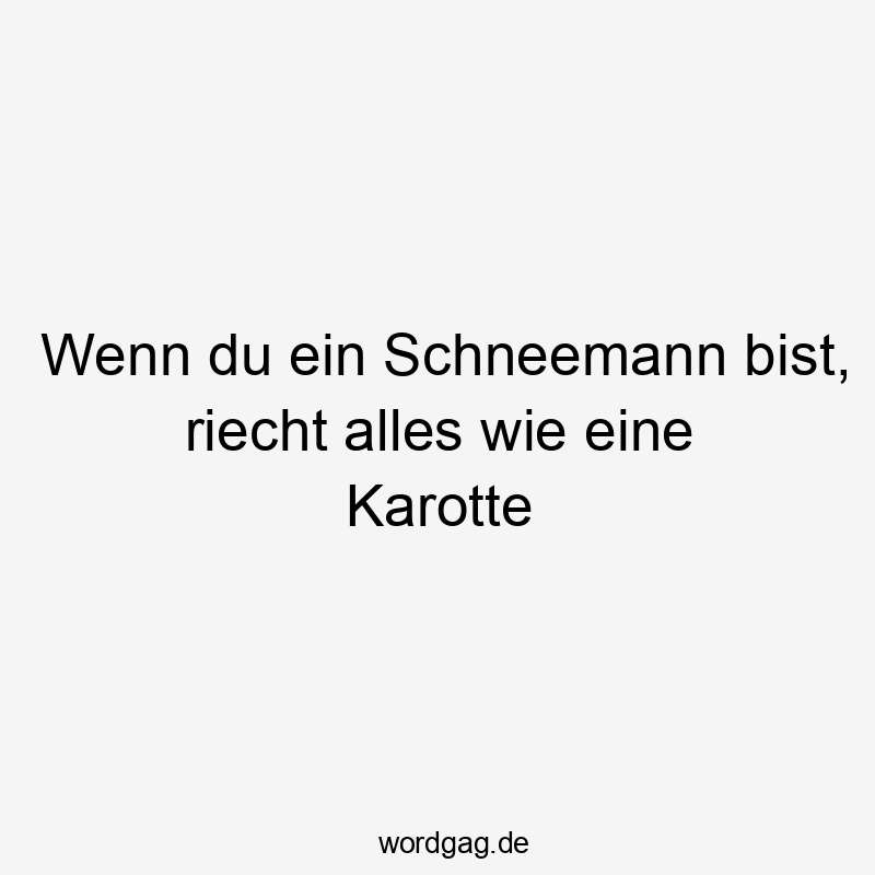 Wenn du ein Schneemann bist, riecht alles wie eine Karotte