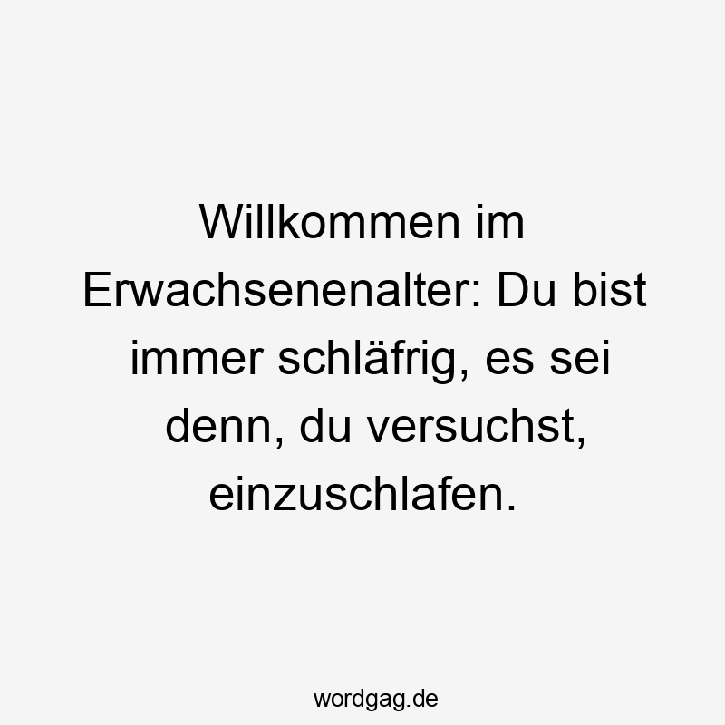 Lustige Sprüche: Erwachsensein - Willkommen im Erwachsenenalter: Du bist immer schläfrig, es sei denn, du versuchst, einzuschlafen.