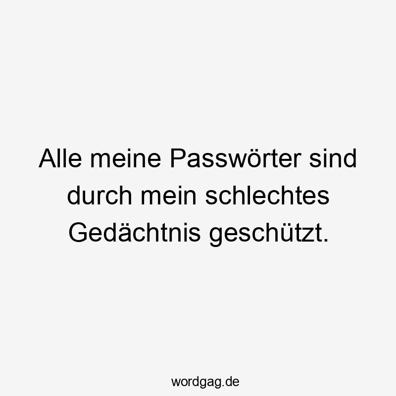 Alle meine PasswÜrter sind durch mein schlechtes Gedächtnis geschßtzt.