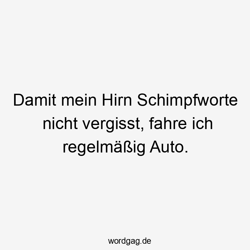 Damit mein Hirn Schimpfworte nicht vergisst, fahre ich regelmäßig Auto.