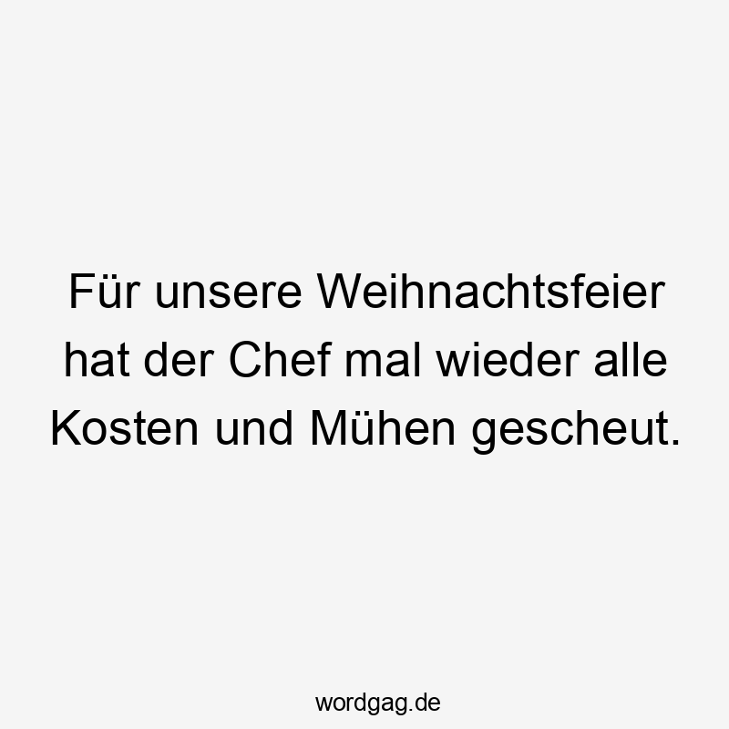 Für unsere Weihnachtsfeier hat der Chef mal wieder alle Kosten und Mühen gescheut.