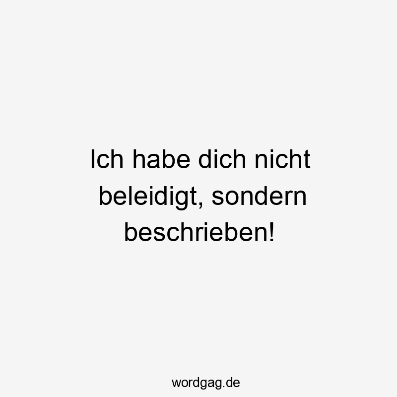 Lustige Sprüche: beschrieben - Ich habe dich nicht beleidigt, sondern beschrieben!