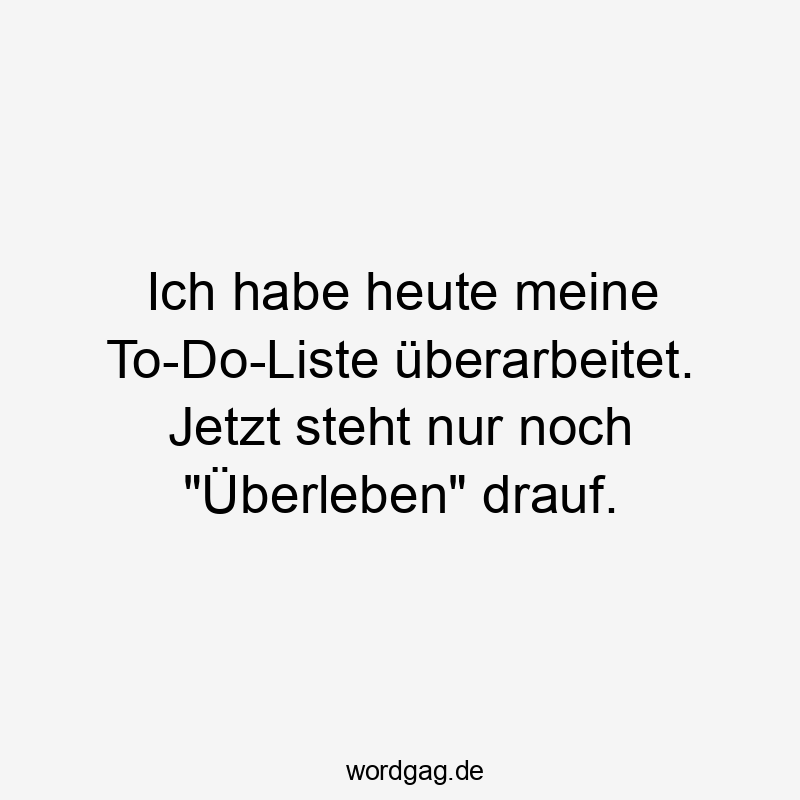 Lustige Sprüche: Alltag - Ich habe heute meine To-Do-Liste überarbeitet. Jetzt steht nur noch „Überleben“ drauf.