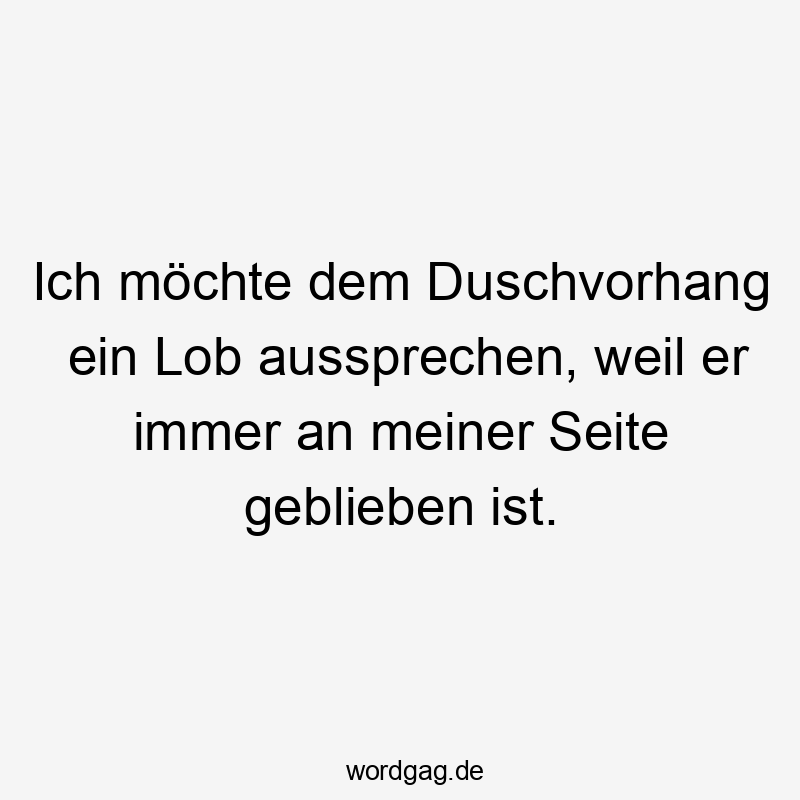 Ich möchte dem Duschvorhang ein Lob aussprechen, weil er immer an meiner Seite geblieben ist.