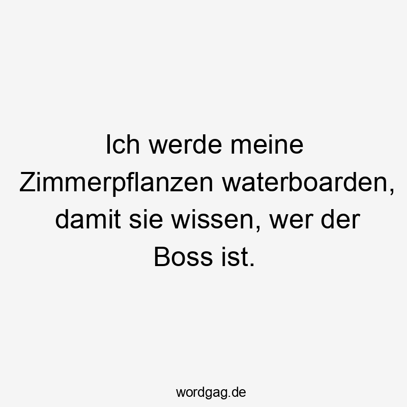 Lustige Sprüche: wer - Ich werde meine Zimmerpflanzen waterboarden, damit sie wissen, wer der Boss ist.