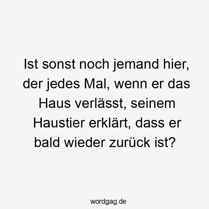 Ist sonst noch jemand hier, der jedes Mal, wenn er das Haus verlässt, seinem Haustier erklärt, dass er bald wieder zurück ist?