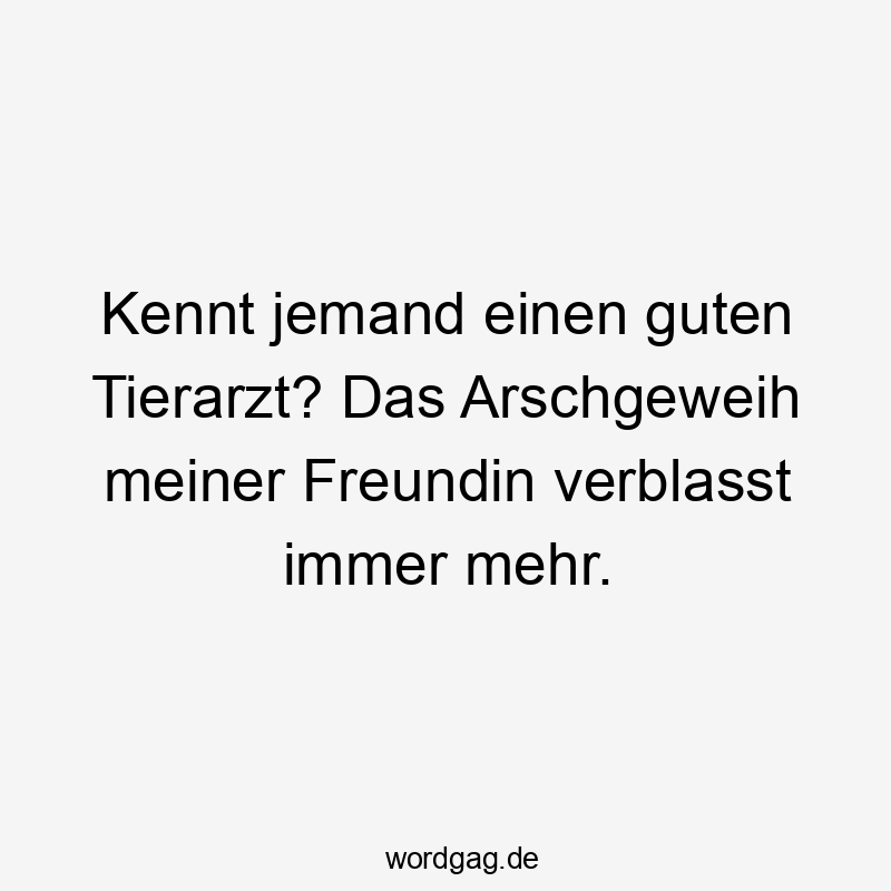Kennt jemand einen guten Tierarzt? Das Arschgeweih meiner Freundin verblasst immer mehr.