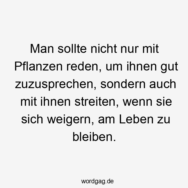 Man sollte nicht nur mit Pflanzen reden, um ihnen gut zuzusprechen, sondern auch mit ihnen streiten, wenn sie sich weigern, am Leben zu bleiben.