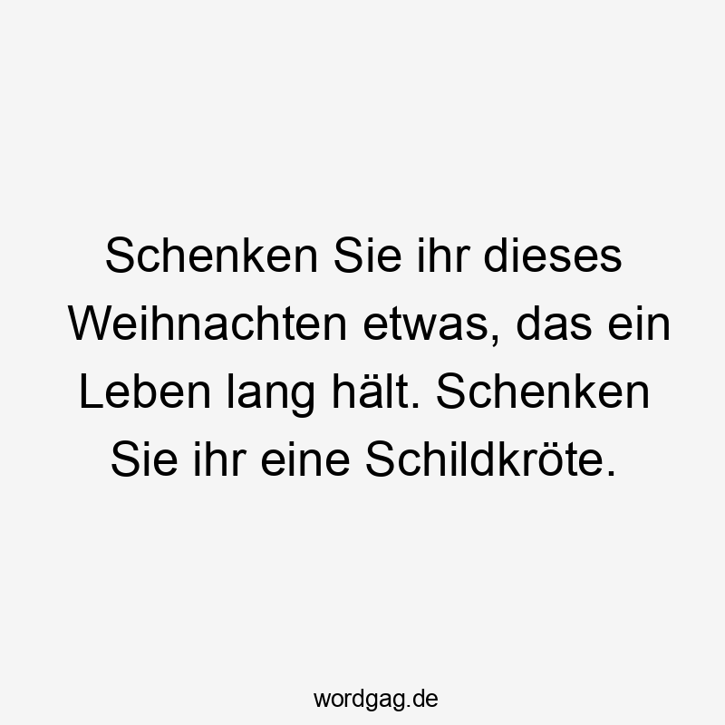 Schenken Sie ihr dieses Weihnachten etwas, das ein Leben lang hält. Schenken Sie ihr eine Schildkröte.