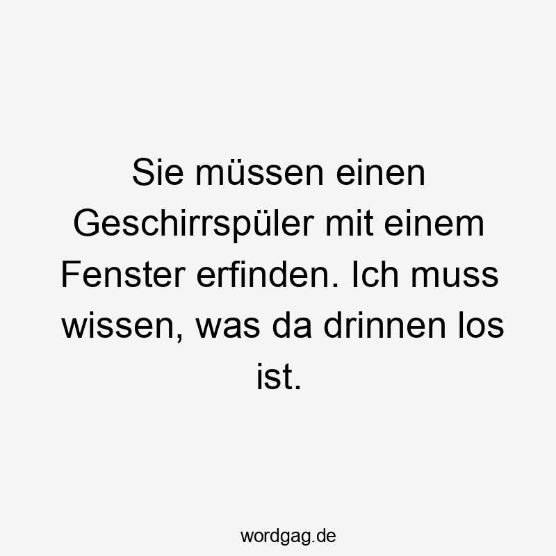 Sie müssen einen Geschirrspüler mit einem Fenster erfinden. Ich muss wissen, was da drinnen los ist.