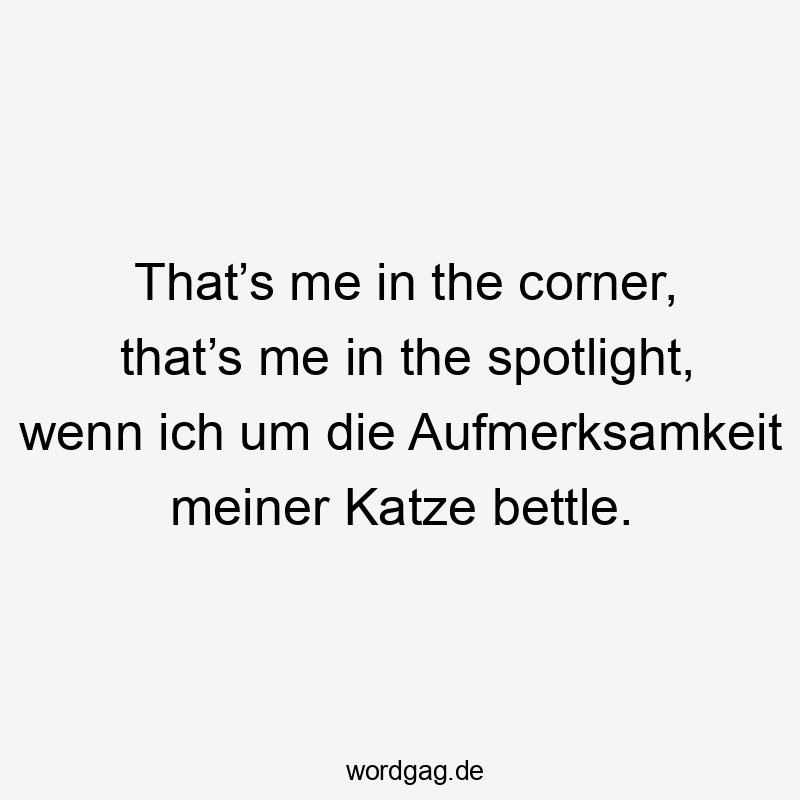 That’s me in the corner, that’s me in the spotlight, wenn ich um die Aufmerksamkeit meiner Katze bettle.