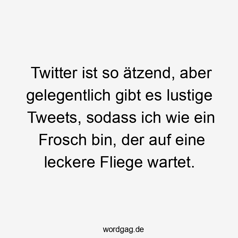 Lustige Sprüche: Twitter - Twitter ist so ätzend, aber gelegentlich gibt es lustige Tweets, sodass ich wie ein Frosch bin, der auf eine leckere Fliege wartet.