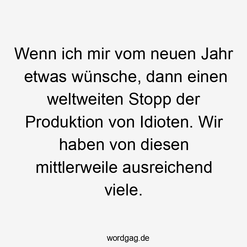 Wenn ich mir vom neuen Jahr etwas wünsche, dann einen weltweiten Stopp der Produktion von Idioten. Wir haben von diesen mittlerweile ausreichend viele.