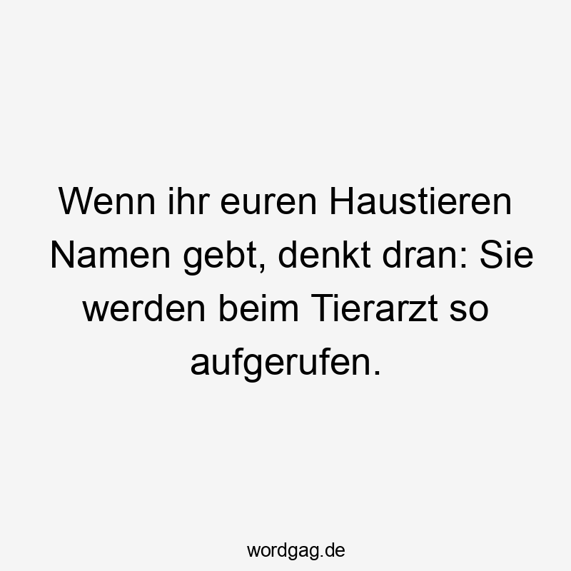 Wenn ihr euren Haustieren Namen gebt, denkt dran: Sie werden beim Tierarzt so aufgerufen.