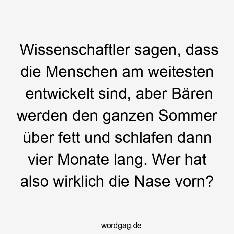 Lustige Sprüche: Bären - Wissenschaftler sagen, dass die Menschen am weitesten entwickelt sind, aber Bären werden den ganzen Sommer über fett und schlafen dann vier Monate lang. Wer hat also wirklich die Nase vorn?