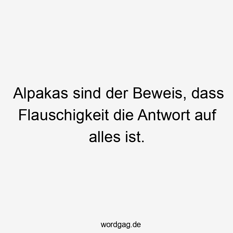 Alpakas sind der Beweis, dass Flauschigkeit die Antwort auf alles ist.