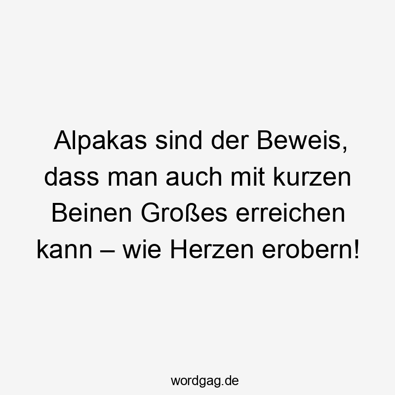 Großes erreichen - Alpakas sind der Beweis, dass man auch mit kurzen Beinen Großes erreichen kann – wie Herzen erobern!