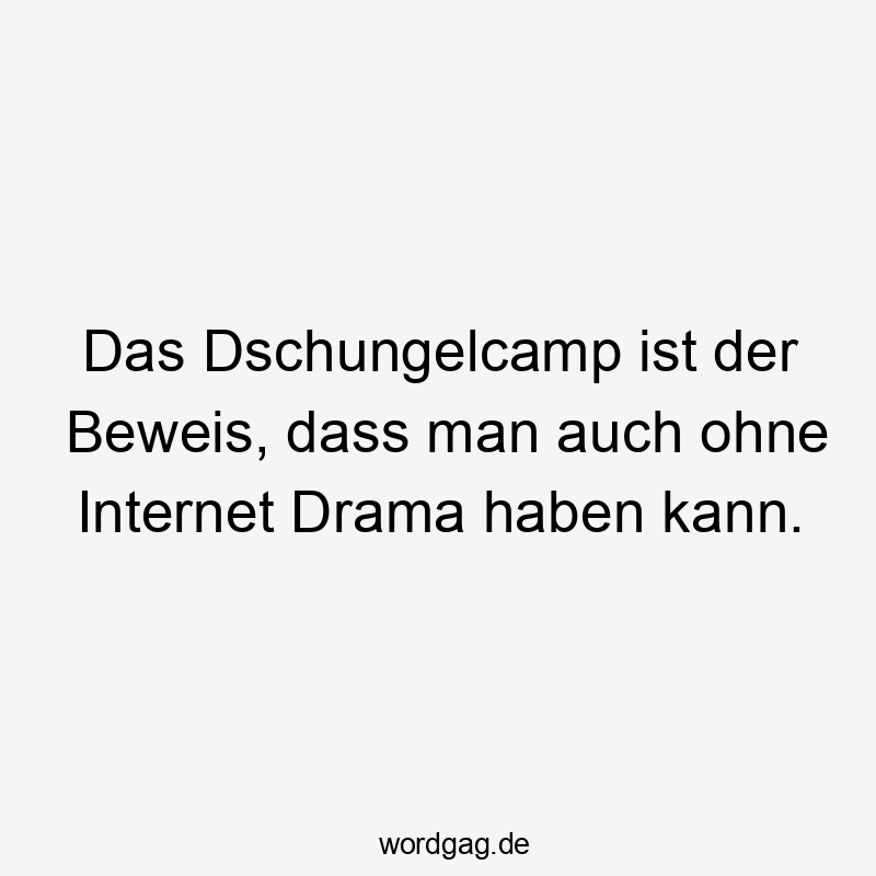 Das Dschungelcamp ist der Beweis, dass man auch ohne Internet Drama haben kann.