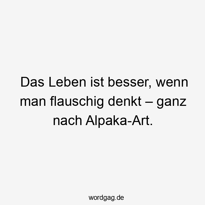 Das Leben ist besser, wenn man flauschig denkt – ganz nach Alpaka-Art.