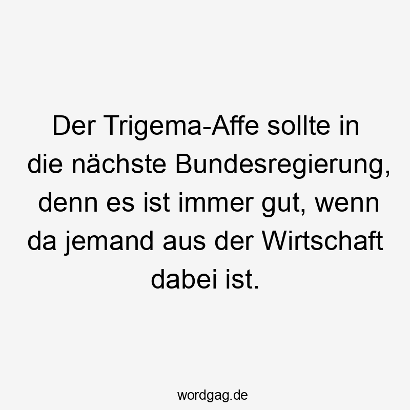 Der Trigema-Affe sollte in die nächste Bundesregierung, denn es ist immer gut, wenn da jemand aus der Wirtschaft dabei ist.