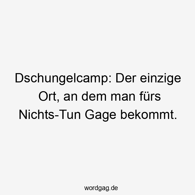 Dschungelcamp: Der einzige Ort, an dem man fürs Nichts-Tun Gage bekommt.