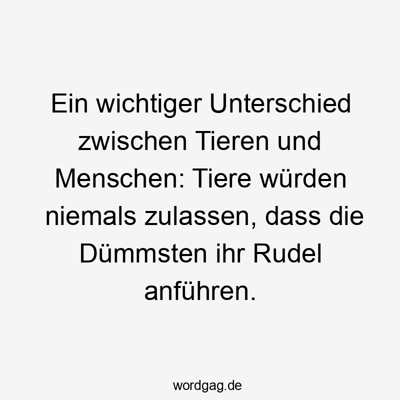 Lustige Sprüche: niemals - Ein wichtiger Unterschied zwischen Tieren und Menschen: Tiere würden niemals zulassen, dass die Dümmsten ihr Rudel anführen.