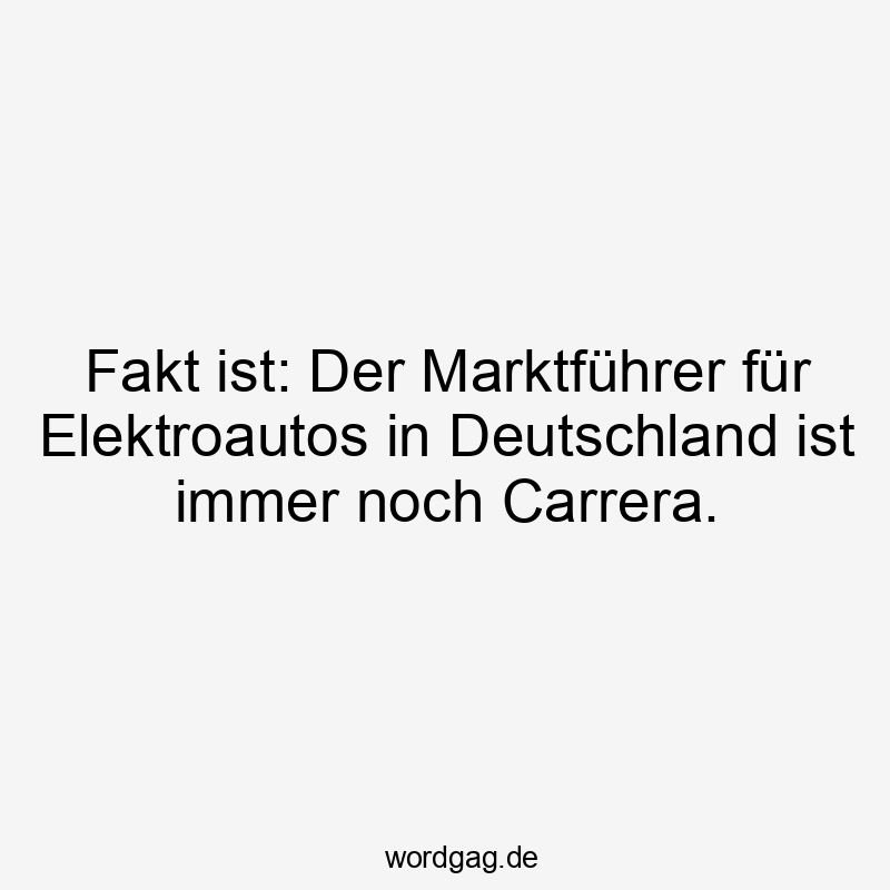 Fakt ist: Der Marktführer für Elektroautos in Deutschland ist immer noch Carrera.