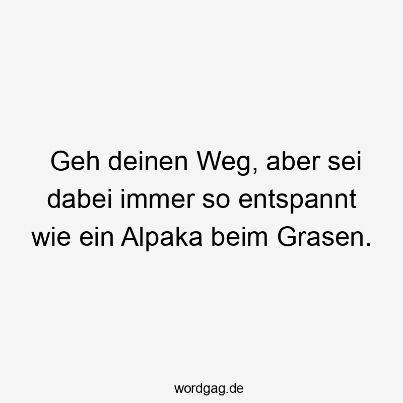 Lustige Sprüche: Alpaka - Geh deinen Weg, aber sei dabei immer so entspannt wie ein Alpaka beim Grasen.