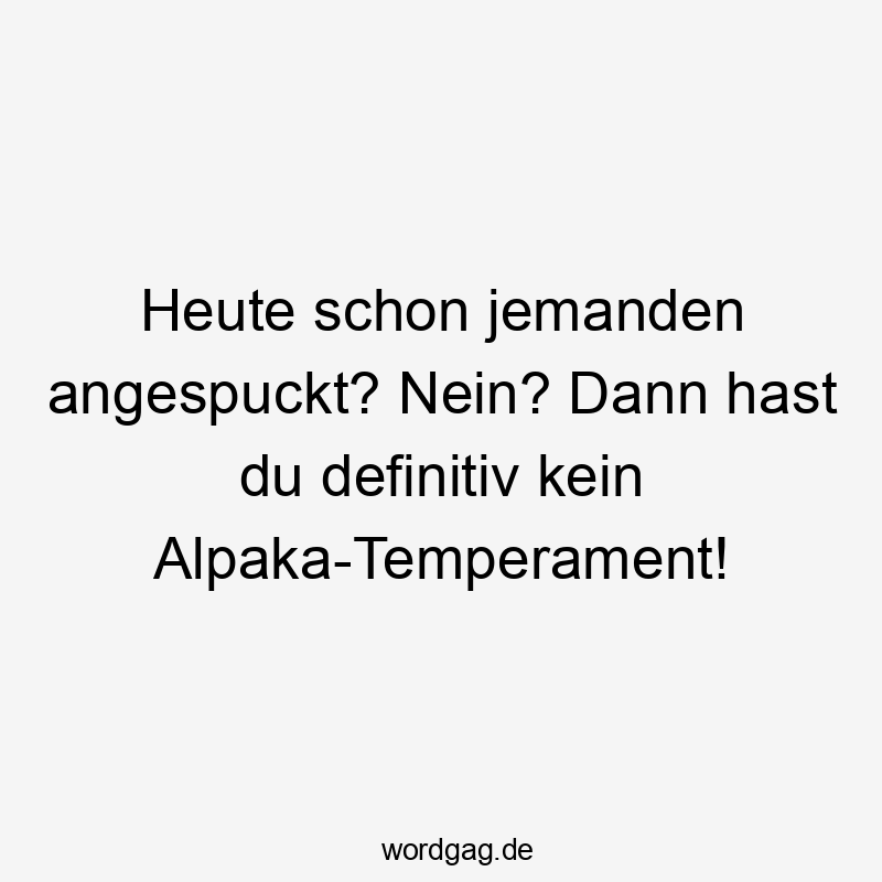 Heute schon jemanden angespuckt? Nein? Dann hast du definitiv kein Alpaka-Temperament!