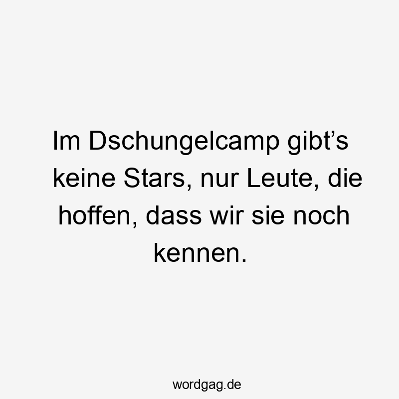 Im Dschungelcamp gibt’s keine Stars, nur Leute, die hoffen, dass wir sie noch kennen.