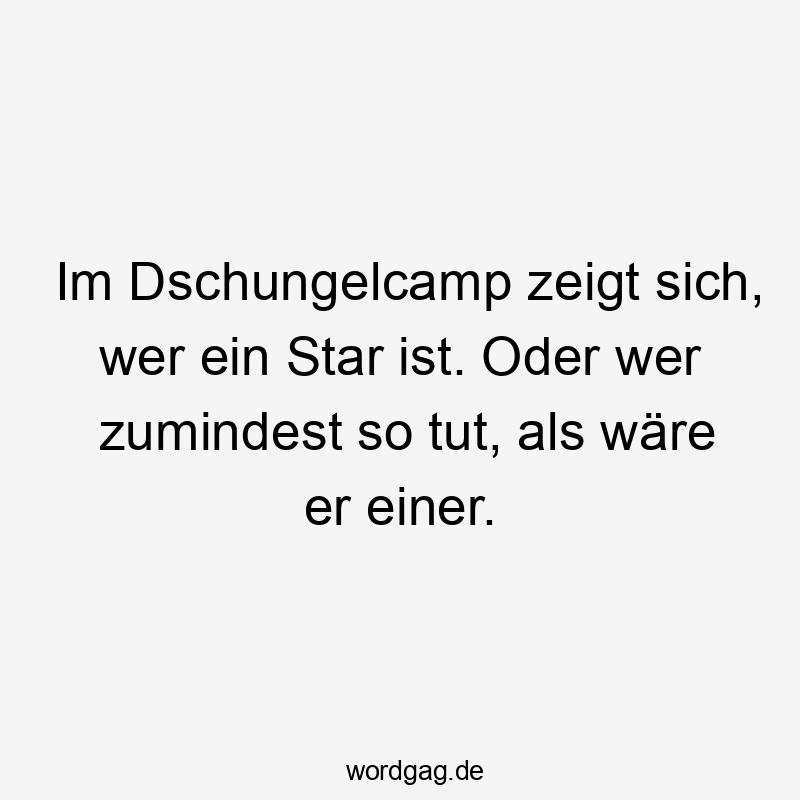 Im Dschungelcamp zeigt sich, wer ein Star ist. Oder wer zumindest so tut, als wäre er einer.