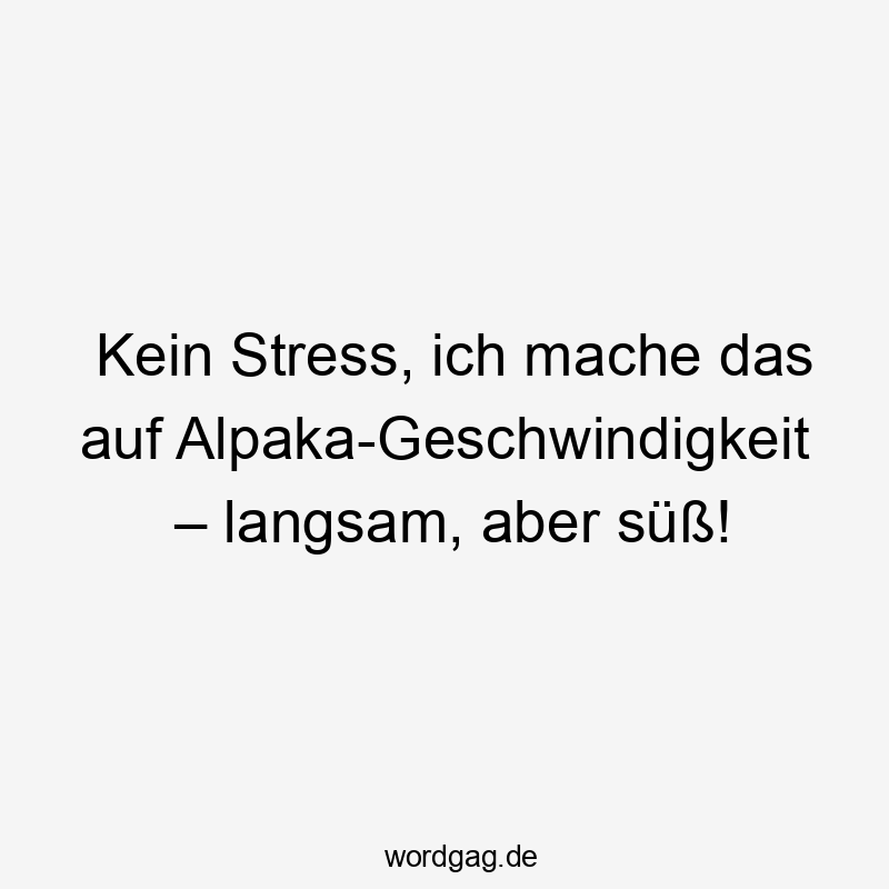 Kein Stress, ich mache das auf Alpaka-Geschwindigkeit – langsam, aber süß!