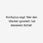 Lustige Konfuzius Sprüche Wordgag