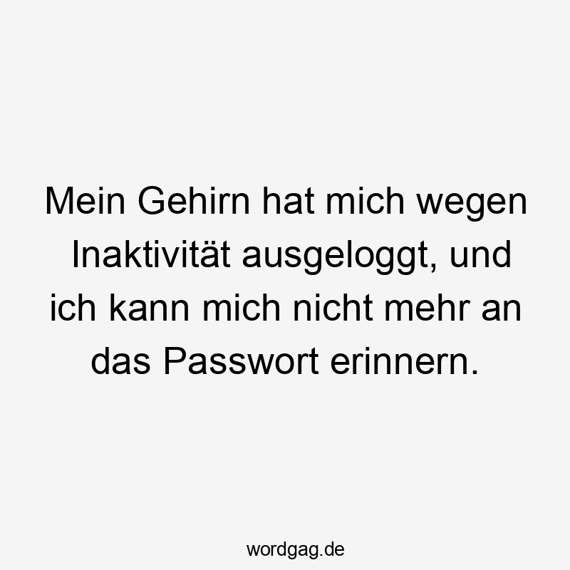 Mein Gehirn hat mich wegen Inaktivität ausgeloggt, und ich kann mich nicht mehr an das Passwort erinnern.