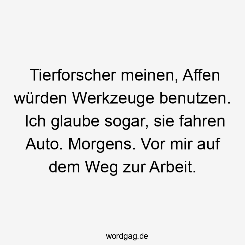 Tierforscher meinen, Affen würden Werkzeuge benutzen. Ich glaube sogar, sie fahren Auto. Morgens. Vor mir auf dem Weg zur Arbeit.