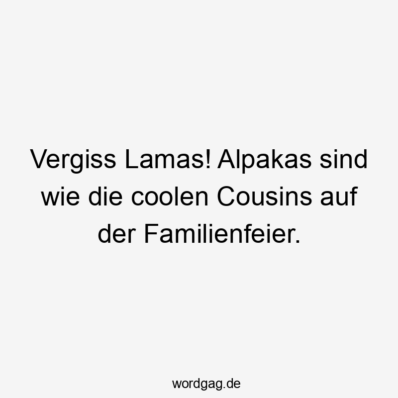 Vergiss Lamas! Alpakas sind wie die coolen Cousins auf der Familienfeier.