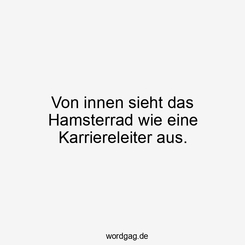 Von innen sieht das Hamsterrad wie eine Karriereleiter aus.
