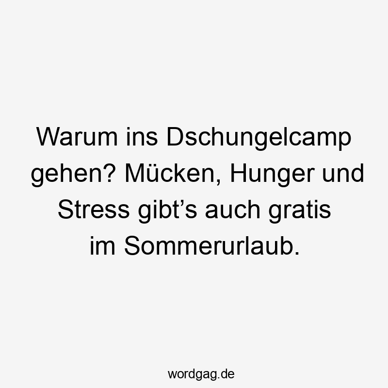 Warum ins Dschungelcamp gehen? Mücken, Hunger und Stress gibt’s auch gratis im Sommerurlaub.