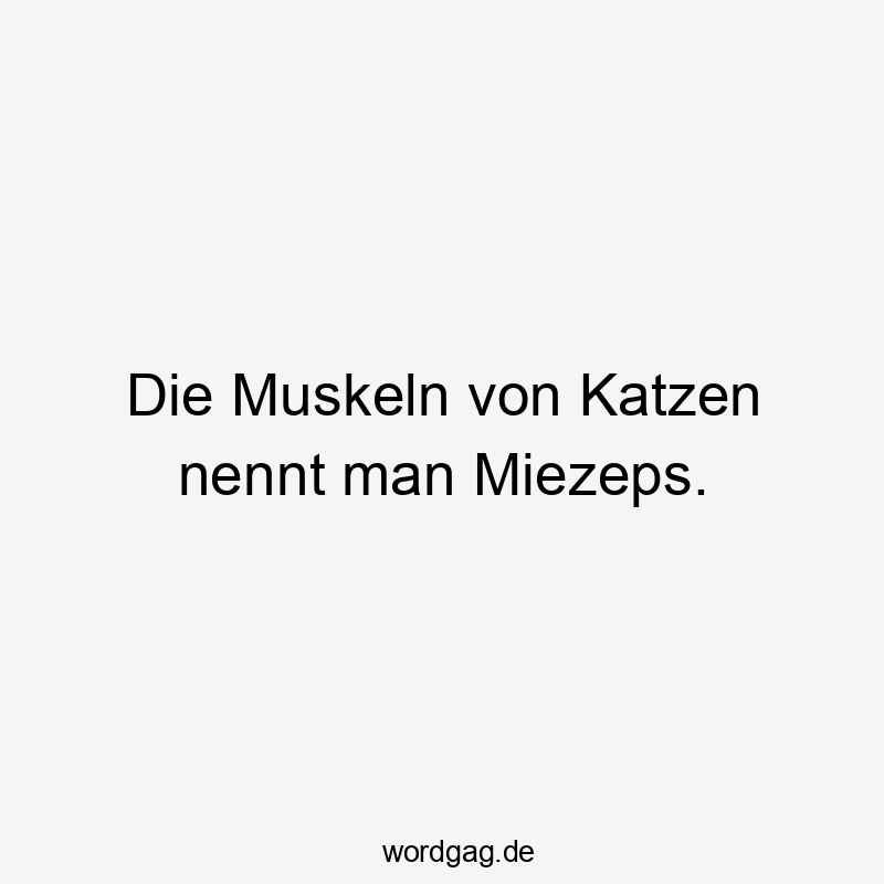 Die Muskeln von Katzen nennt man Miezeps.